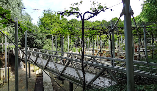 Jardin de la Treille Paris
